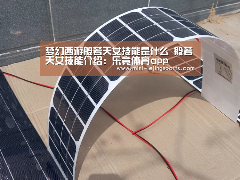 乐竟体育app下载